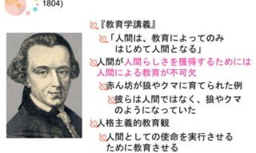 桑黄的功效与作用一般是什么
