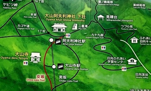山黄药材的功效与作用-山黄的作用网-分享山黄功效，山黄功效知识库